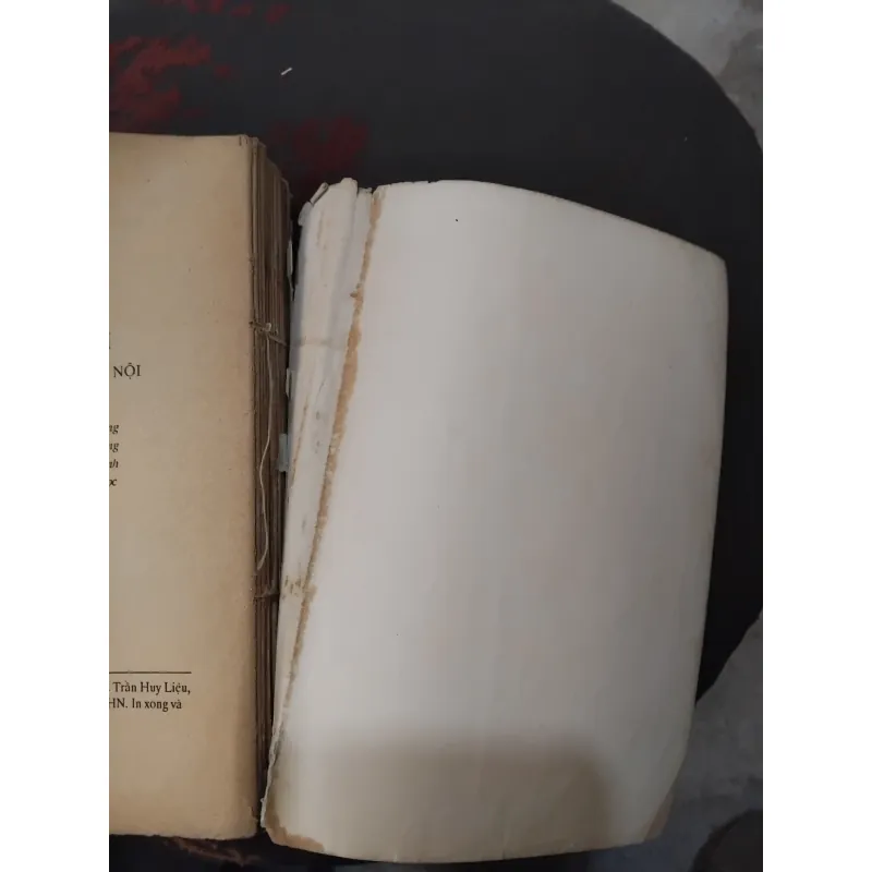 Tử Siêu y thoại  1031058