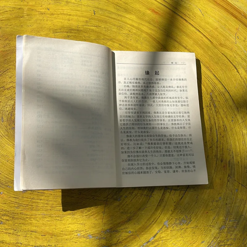 ĐẾN GẦN VỚI PHẬT GIÁO - PHẬT ÂN - BẢN TIẾNG TRUNG 781703