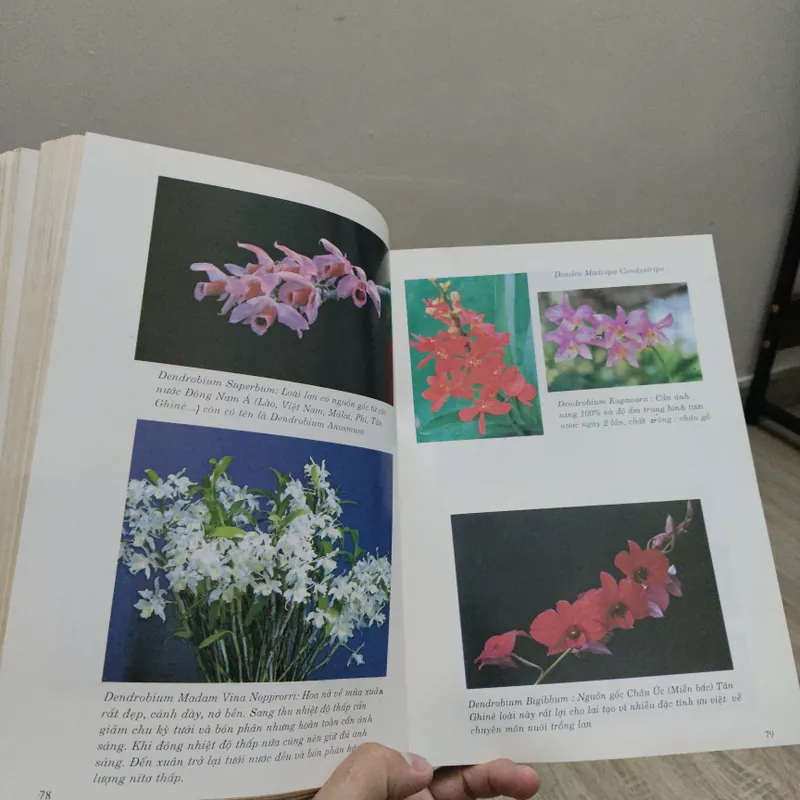 Kỹ Thuật Nuôi Trồng Phong Lan - Trần Văn Bảo 588687