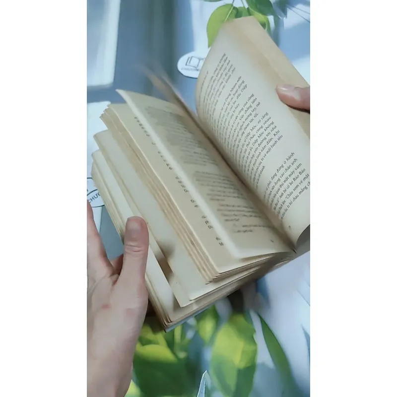 Ai Còn Chờ Ai Giữa Mùa Hoa Nở - Sói Xám Mọc Cánh 744737