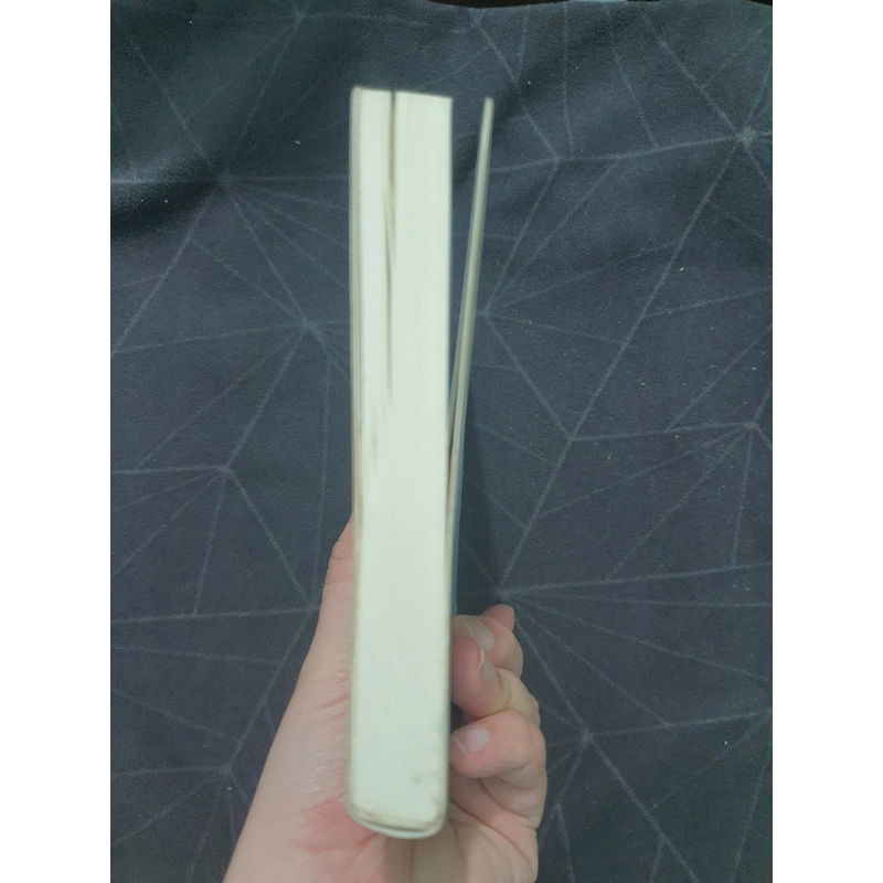 "Em sẽ đến cùng cơn mưa" - Ichikawa Takuji 498958