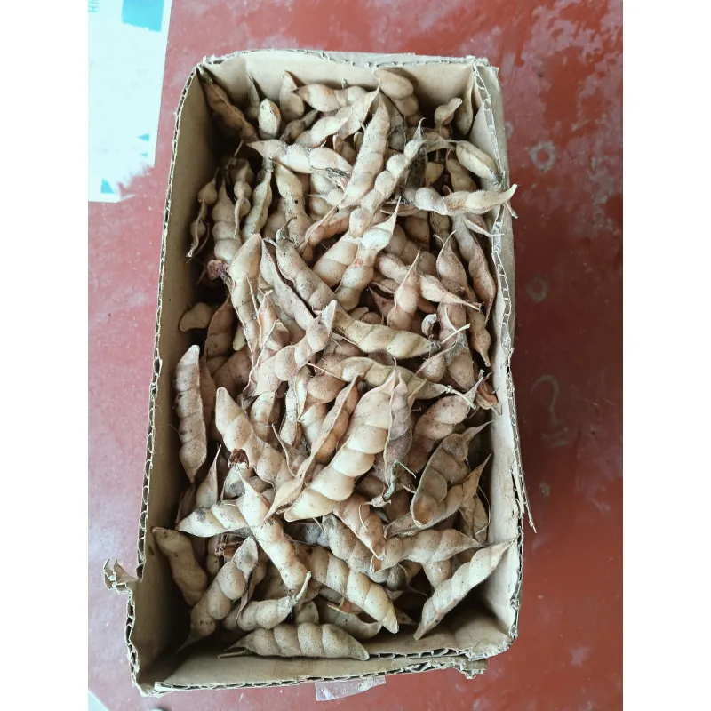 Đậu săng thanh nhiệt  1009815