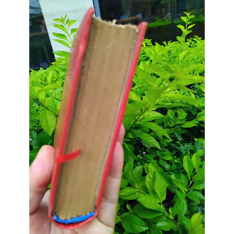 Đỉnh gió hú của Emily Bronte 960820