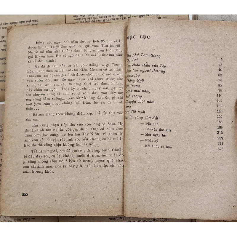 Truyện ngắn của Cao Linh Quân: Sự im lặng của đất 707719