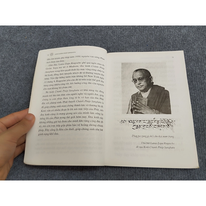KINH CHÁNH PHÁP SANGHATA 494734