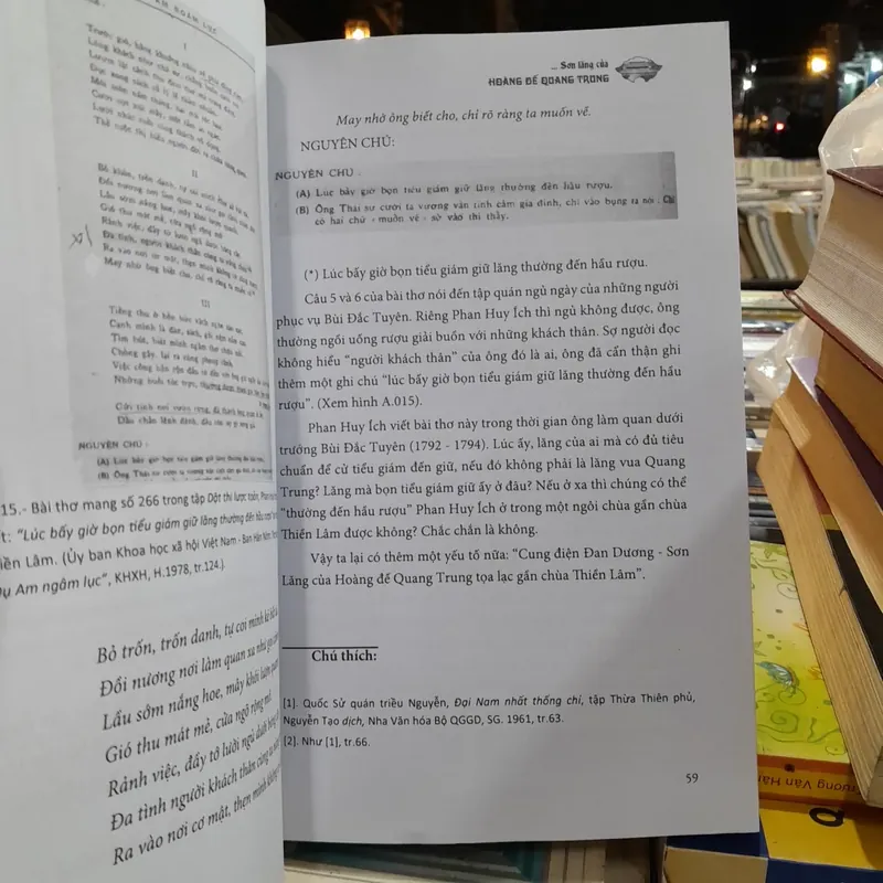 ĐI TÌM DẤU TÍCH CUNG ĐIỆN ĐAN DƯƠNG - NGUYỄN ĐẮC XUÂN 729940