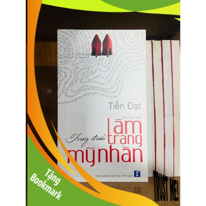 (TẶNG BOOKMARK) Truy đuổi tâm trạng Mỹ Nhân - Tiến Đạt VĂN HỌC RBK0810 954770