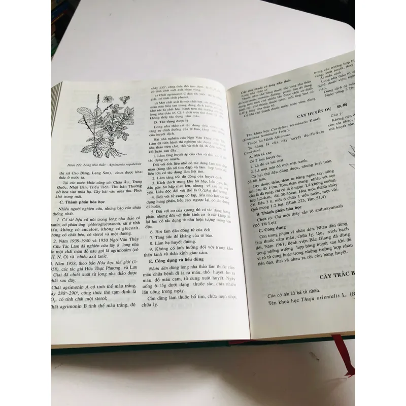 1. 📚 NHỮNG CÂY THUỐC VÀ VỊ THUỐC VIỆT NAM – Đỗ Tất Lợi 557996
