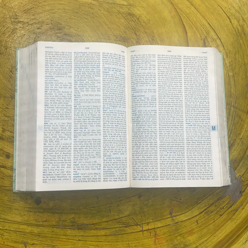 TỪ ĐIỂN ANH - VIỆT - ENGLISH - VIETNAMESE DICTIONARY NEW EDITION  699409