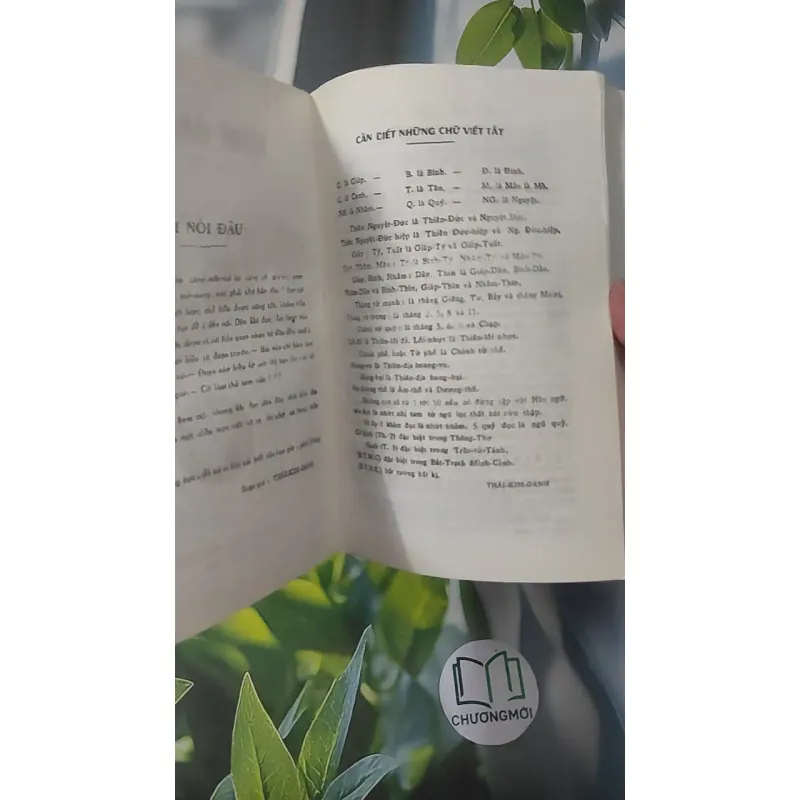 Kim Oanh Ký - Bát Tự Lữ Tài - Thái Kim Oanh 1018904