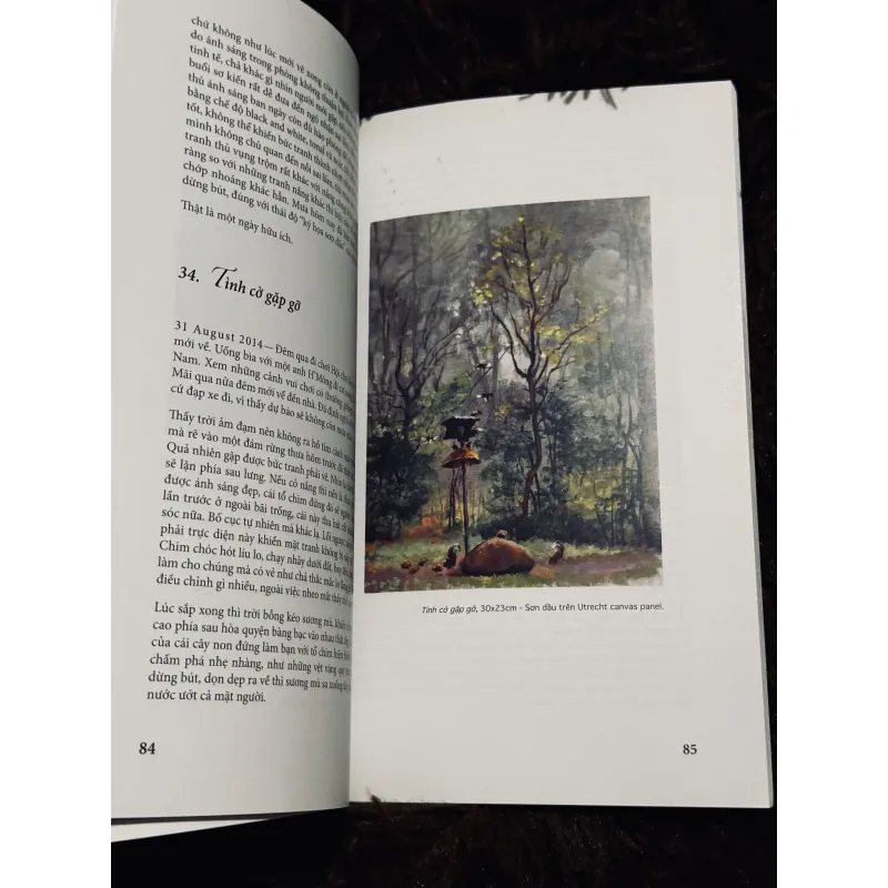 Đi vẽ - Trịnh Lữ 976557