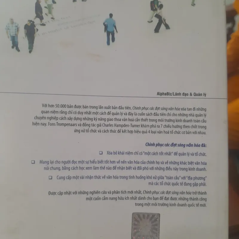 Fons Trompennaars, Charles Hampden, Turner - CHINH PHỤC CÁC ĐỢT SÓNG VĂN HÓA 778807