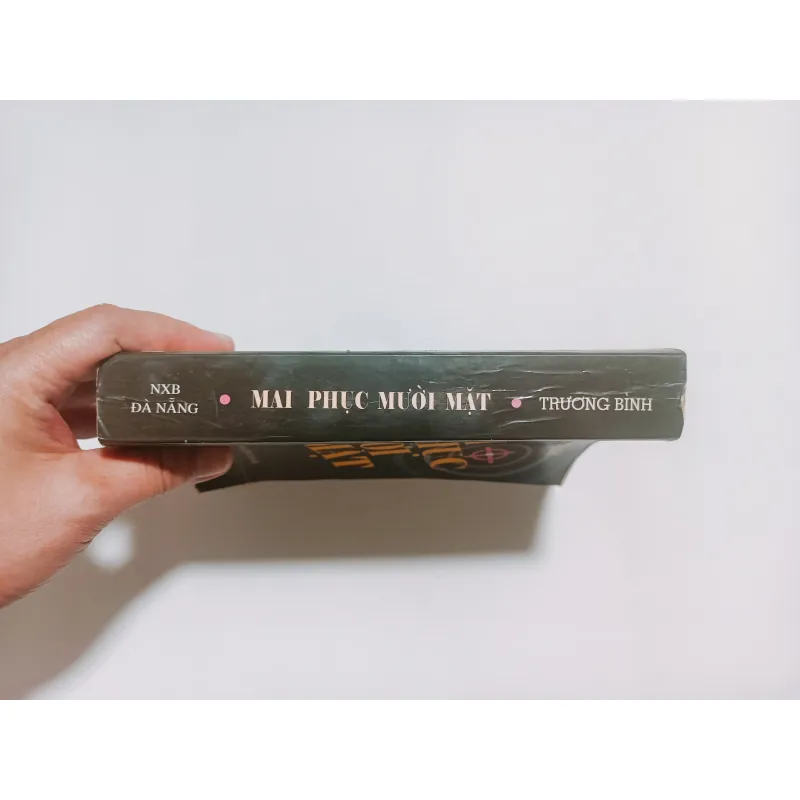 Mai Phục Mười Mặt Tập 1 - Trương Bình 785256