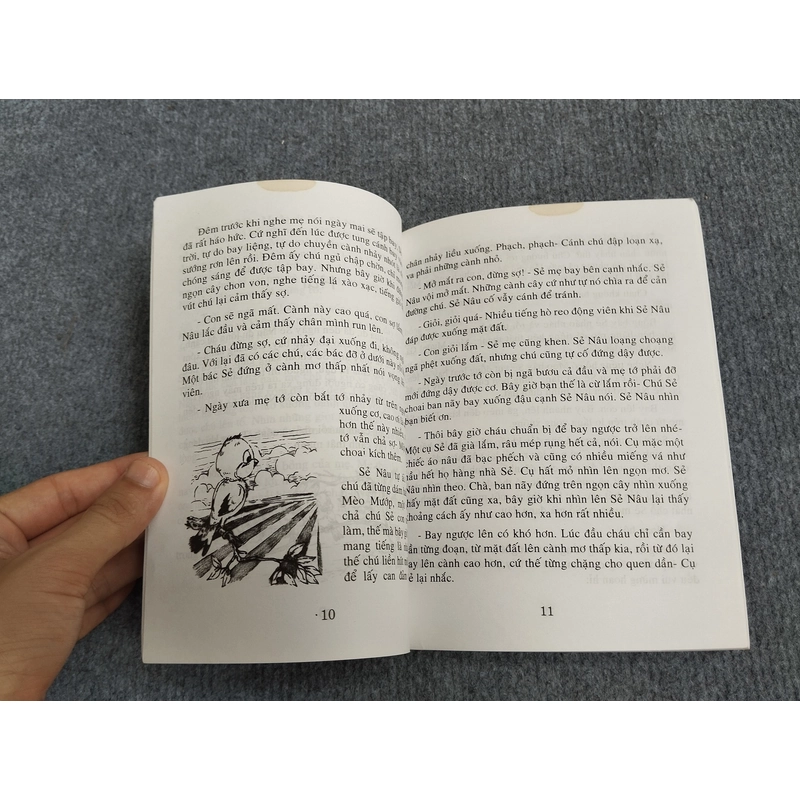 CUỘC PHIÊU LƯU CỦA SẺ NÂU 539789