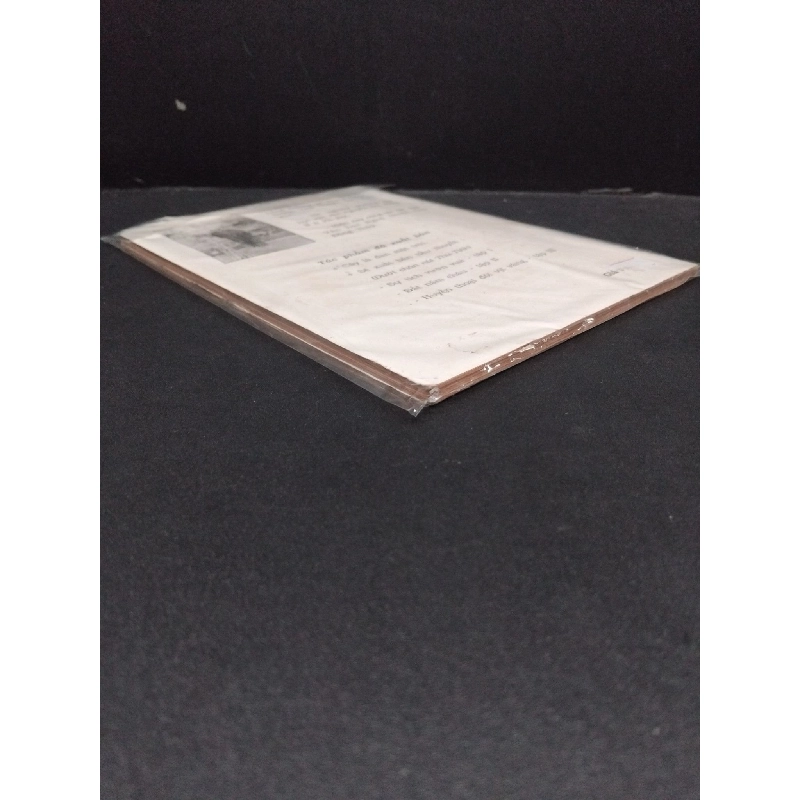 Nắng Ban Mai mới 70% ố vàng, bẩn bìa (có bọc) HCM0107 Đinh Thành Nam VĂN HỌC 916286