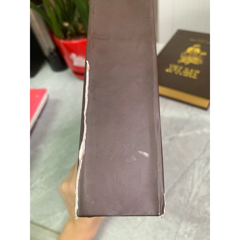Việt Nam văn hóa sử cương 273635