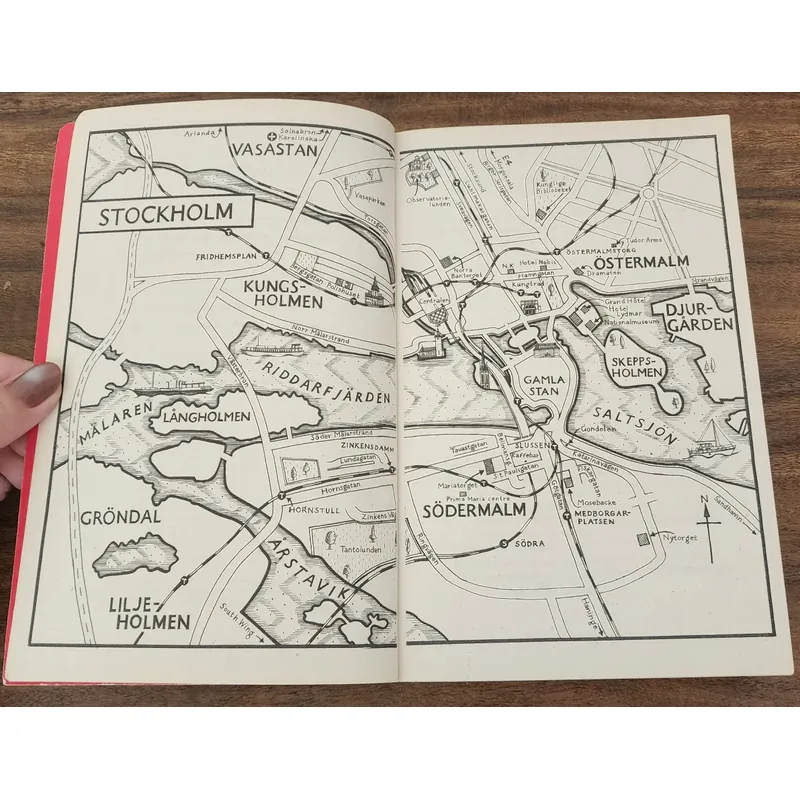 THE GIRL WHO LIVED TWICE (Continuing Stieg Larsson's Millennium series) - D. Lagercrantz 714279