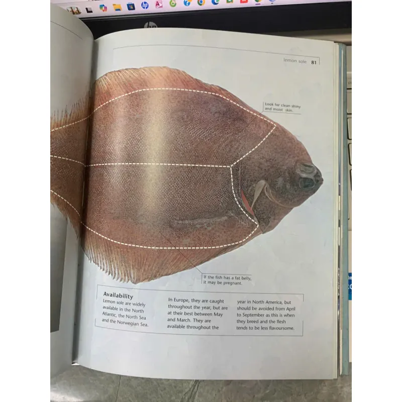 SUSHI TASTE AND TECHIQUE (SUSHI HƯƠNG VỊ VÀ KỸ THUẬT) - KIMIKO BARBER & HIROKI TAKEMURA 690014