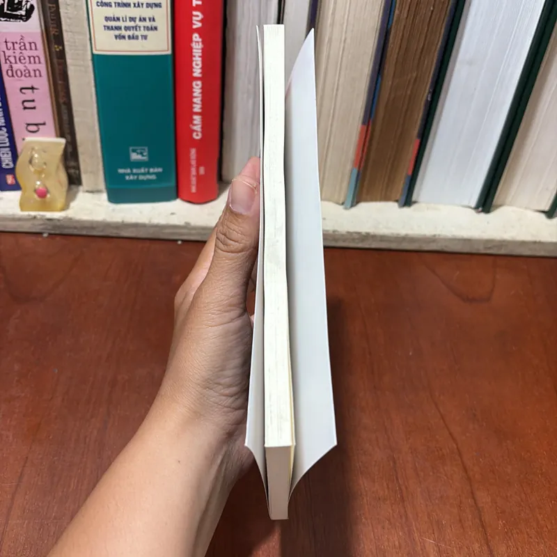 II Sách Lịch Sử: Viết Về Điện Biên Phủ - Thép Mới - 2024 722793