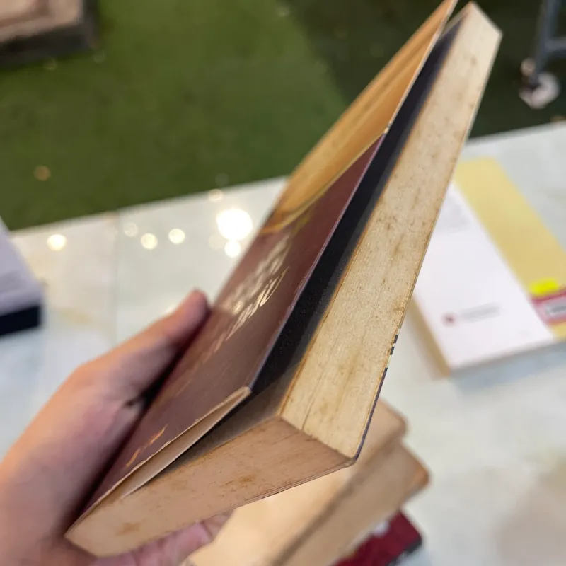 TÂN NHẠC VIỆT NAM THUỞ BAN ĐẦU - PHẠM DUY  1009457