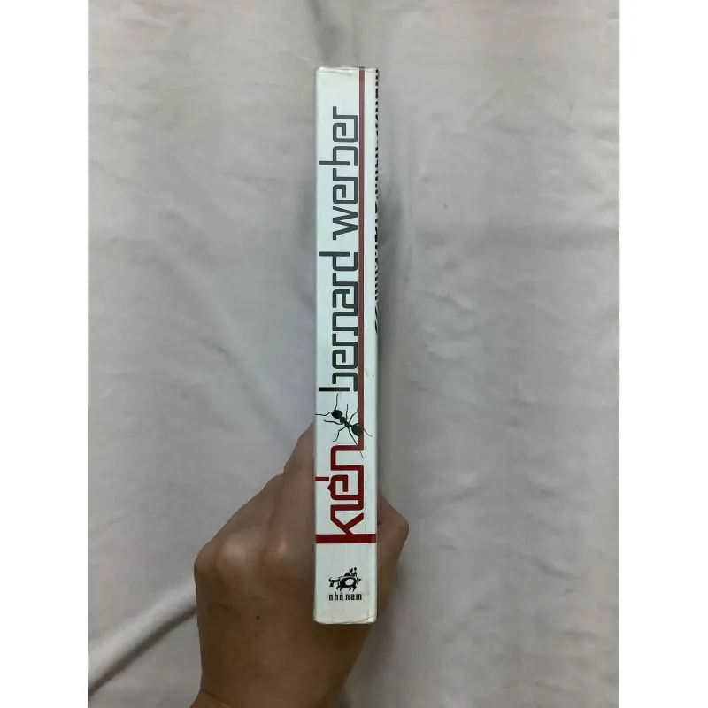 Kiến - Cách Mạng Kiến 595716