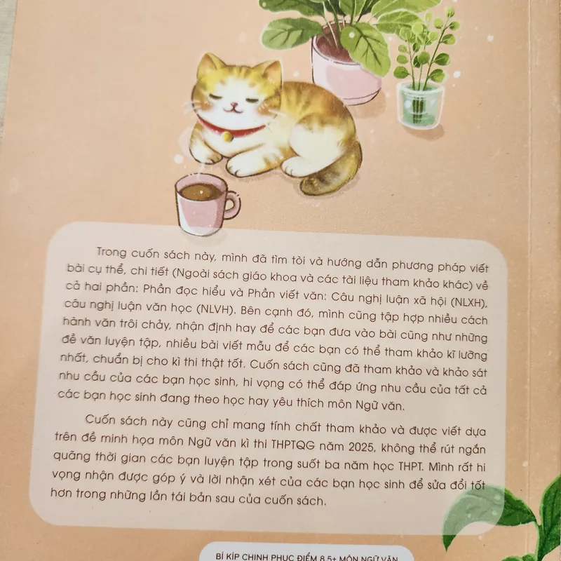 Bí kíp chinh phục điểm 8,5 môn Ngữ văn | Phạm hoàng khánh linh 696278