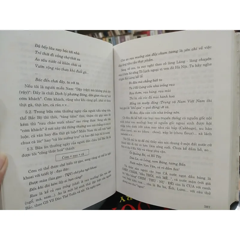 VĂN HÓA VIỆT NAM TÌM TÒI VÀ SUY NGẪM - TRẦN QUỐC VƯỢNG 720819