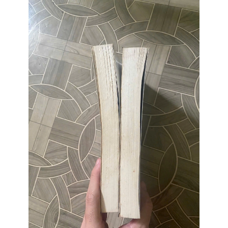 Đại Gia (Bộ 2 Tập) – Thiên Sơn NENA 1001713