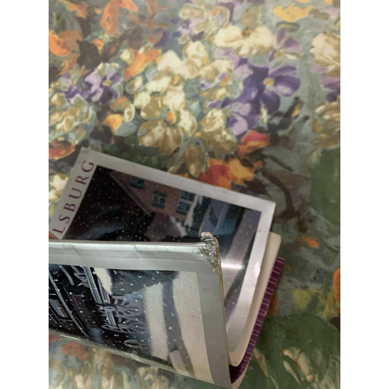 Tàu Tốc Hành Bắc Cực - Chris Van Allsburg 537926