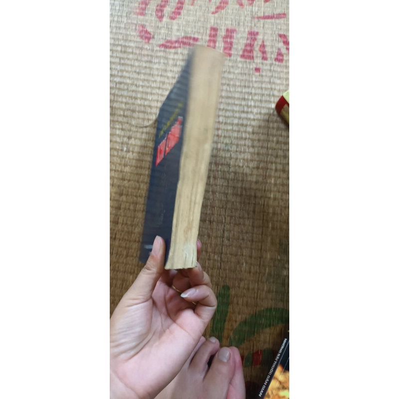 Chữa Bệnh Bằng Khí Công- Lê Thành 530687