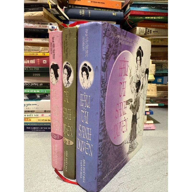 Tái sanh duyên ( Bộ 2 tập )- Mộng Bình Sơn 188981