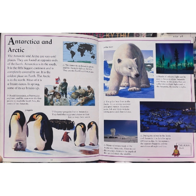 First Encyclopedia - Kingfisher 1003557