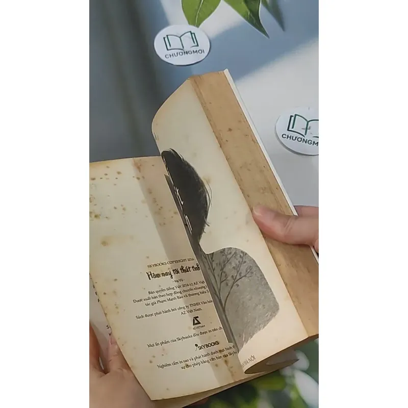 Hôm Nay Tôi Thất Tình - Hạ Vũ 705592