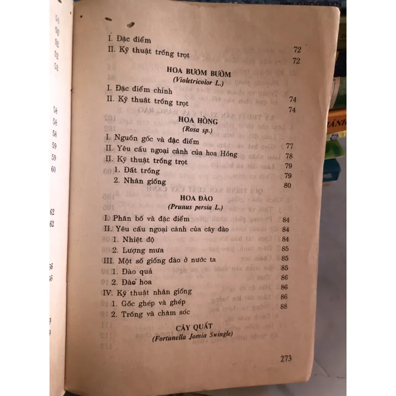 Trồng hoa cây cảnh trong gia đình - Nguyễn Huy Trí - Đoàn Văn Lư 1001807