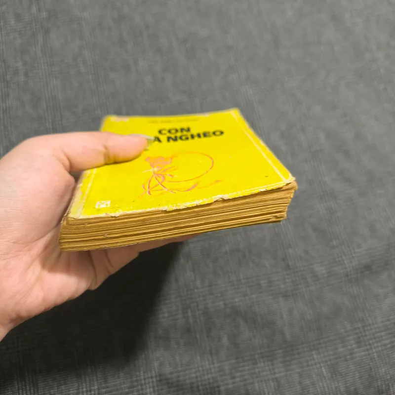 Con nhà nghèo (Khổ cầm tay) - Hồ Biểu Chánh - 1996 606555