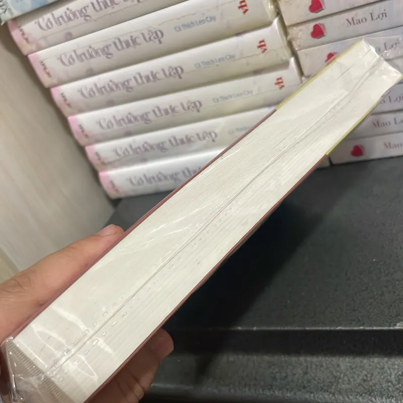 Tục hay , Lệ lạ Thăng Long - Hà Nội - PGS. TS Đỗ Thị Hảo ( chủ biên) 997399