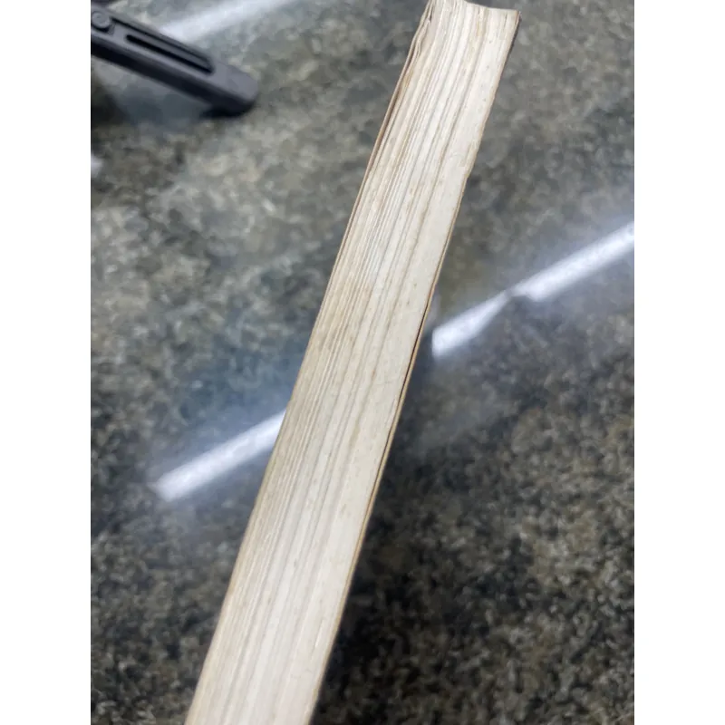 Thiệu Kỳ Một thời hãnh tiến một thời suy vong Lý Nhân 735135