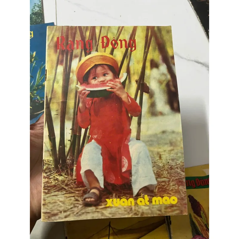 Tạp chí Rạng Đông (Trọn bộ/Số lượng lớn) - Hội Thánh Tin Lành Việt Nam 798713