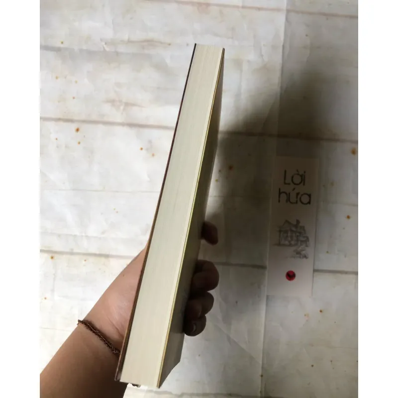 Lời Hứa - Damon Galgut (Giải Booker 2021) 745410