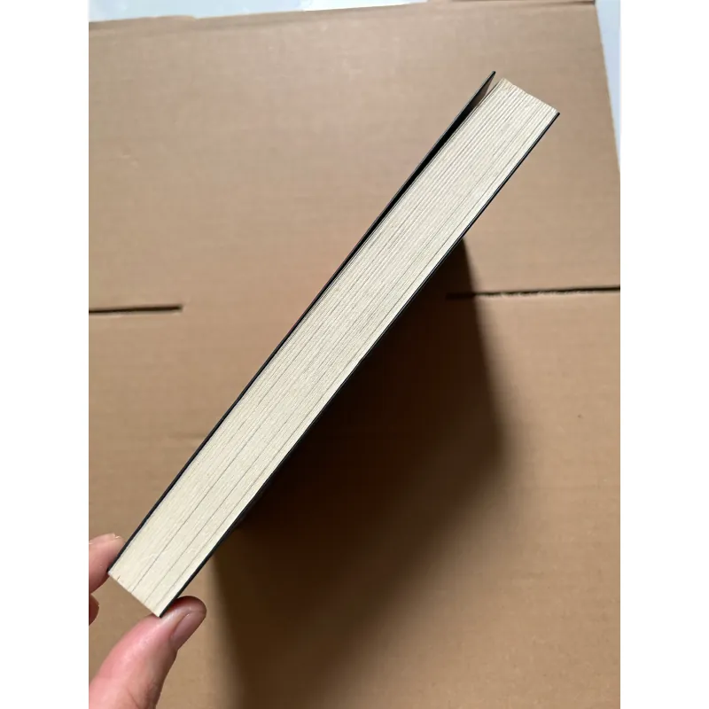 Hộp đen 18+ 800183