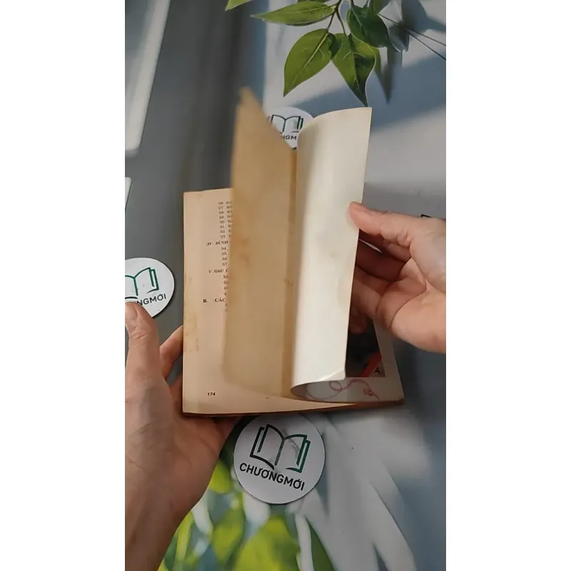 Khéo Tay Làm Bánh - Triệu Thị Chơi 727274