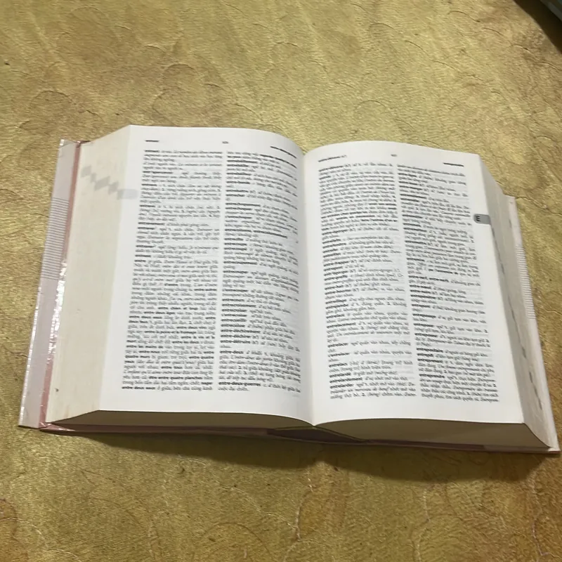 COMBO TỪ ĐIỂN PHÁP - VIỆT & VIỆT - PHÁP DICTIONNAIRE - FRANCAIS- VIETNAMIEN & VIETNAMIEN 717830