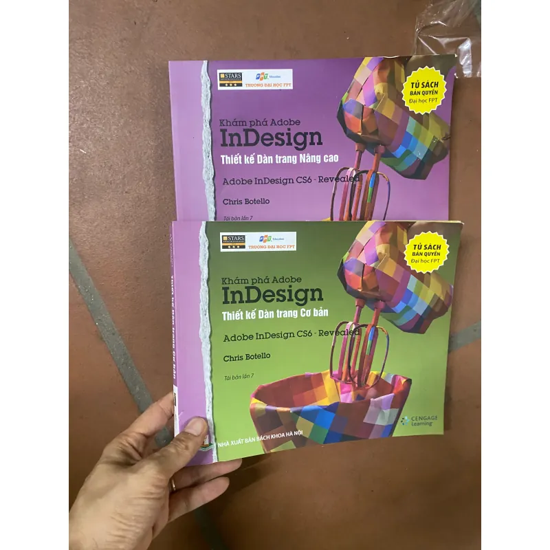 Sách thiết kế dàn trang nâng cao 313731