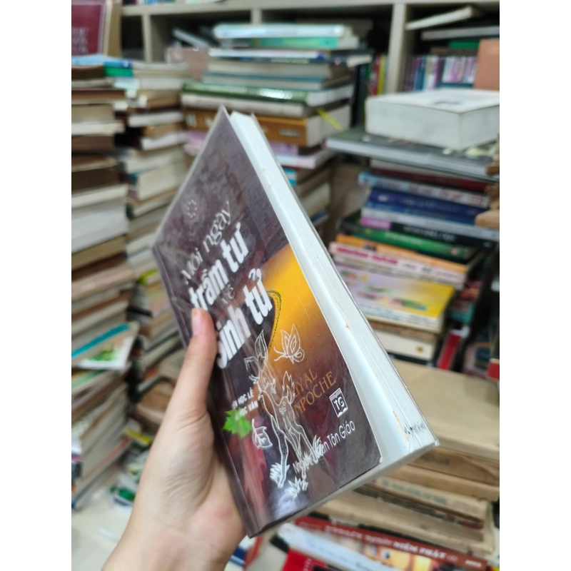 Mỗi ngày trầm tư về sinh tử 🌱 510067