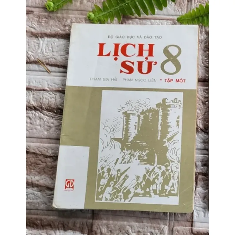 Lịch sử lớp 8- sách giáo khoa xưa  595800