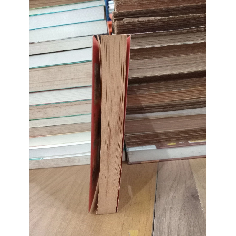 THE CURIOUS INCIDENT OF THE DOG IN THE NIGHT-TIME (VINTAGE CLASSICS) - MARK HADDON 140290