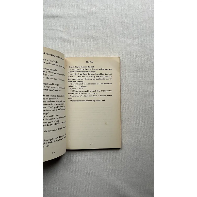 What We Talk About When We Talk About Love - Raymond Carver  960740