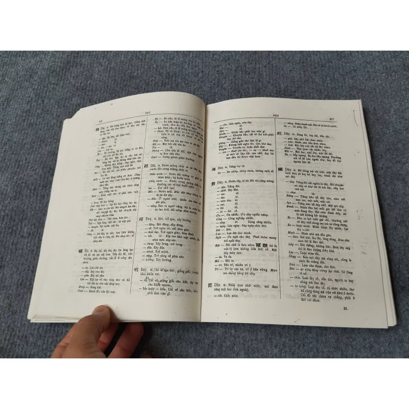 ĐẠI NAM QUỐC ÂM TỰ VỊ 729315