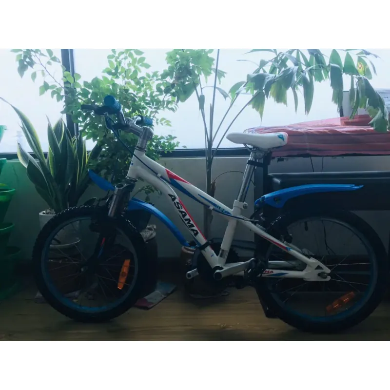 Xe đạp Asama  779225