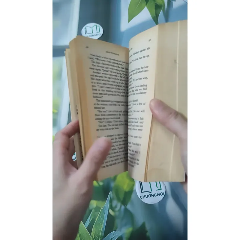 [XƯA] High Five (1999) - Janet Evanovich 1027579